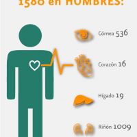 Trasplantes en Hombres